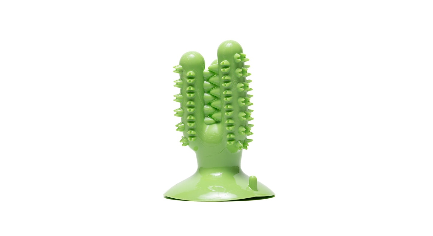 Cactus Tooth Brush