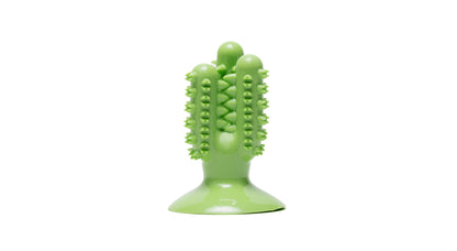 Cactus Tooth Brush