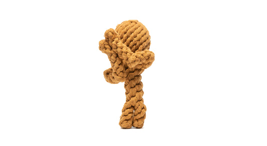 Active Rope Toy