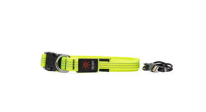 Night Glow Pet Collar