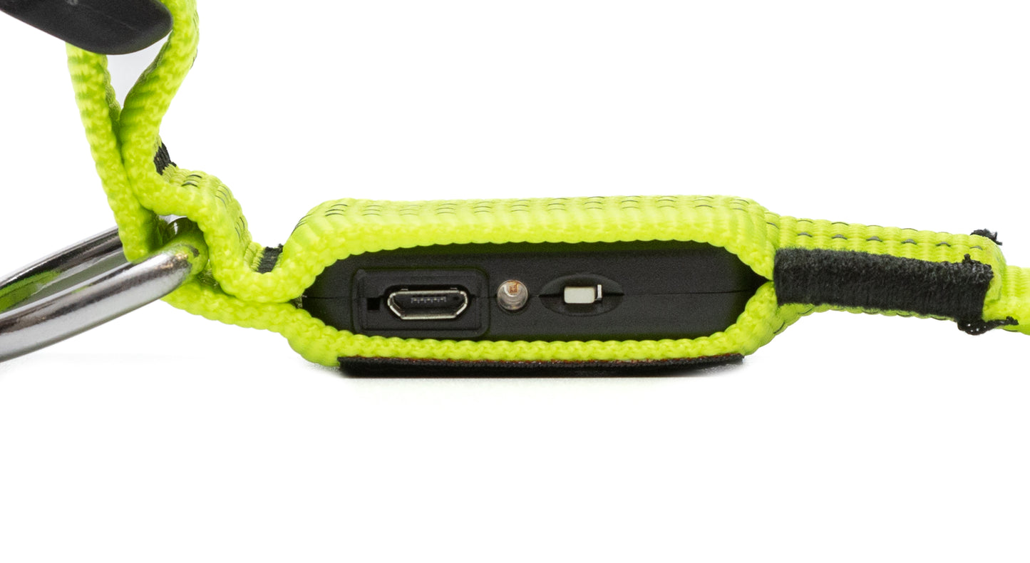 Night Glow Pet Collar